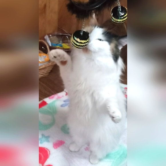 Meet your Posher, Michelle - Picture 14 of 14